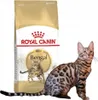 Royal Canin Bengal Adult, Adult, Bengalen, Geflügel, Produktbild-Vorschau 11