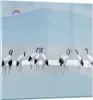 Bilder auf glas - Einteilig - Vögel Kraniche Natur - Produktbild-Vorschau 1