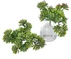 künstlicher Kaktuszweig, Sukkulente H. 18cm grün Formano Produktbild-Vorschau 1
