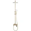 A gold shower set on a white background. Anteprima dell’immagine prodotto
