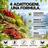 Spray Stress – Ashwagandha, Rodiola, Reishi e Schisandra – Anteprima dell’immagine prodotto 3