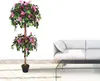 Drillingsblume Bougainvillea Wunderblumengewächs Produktbild-Vorschau 5