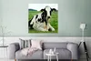 MuchoWow® Poster Kuh - Friesland - Tier 75x75 cm - Wand Produktbild-Vorschau 5