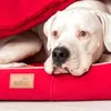 tierlando® Orthopädisches Hundebett RUDOLPH inkl. Produktbild-Vorschau 8