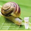 Celltone - Crème Mains - 100 ml Voir les images du produit 5