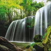 Korsch Kalender 2027 Magische Wälder mit großem Bild und Produktbild-Vorschau 14