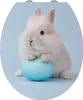 Allibert BUNNY WC-Sitz Thermodur 38 x 6 x 43,5 cm Produktbild-Vorschau 1