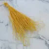 Federgras Getrocknete - (Stipa pennata) - Ingwer Produktbild-Vorschau 4