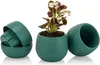 Lot de 7 pots de fleurs avec drainage 0,55 L pour cactus, Voir les images du produit 8