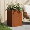 vidaXL Pot de jardin d'extérieur, aspect rouille, 40 x 40 x Voir les images du produit 2