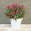 Bloomique - Buddleja Butterfly Little Ruby - Krzew motyli - Podgląd zdjęcia produktu 2