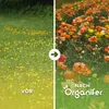 Wildblumenmischung Biodiversität 2 kg = 1000 m² – 62 Arten Produktbild-Vorschau 2