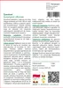 SAFLAX - Żywokost - 15 Nasiona - Symphytum officinale Podgląd zdjęcia produktu 7