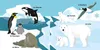 Baby Pixi (unkaputtbar) 114: Tolle Tiere Produktbild-Vorschau 8