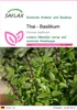 SAFLAX - Thai - Basilikum - Ocimum basilicum - 200 Samen Produktbild-Vorschau 1