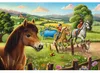 Schmidt Spiele Mes chevaux préférés 3x48T 0 0 STK Voir les images du produit 2