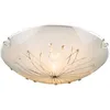 A white ceiling light with a decorative dandelion-like pattern and small crystal accents. Anteprima dell’immagine prodotto