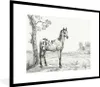 MuchoWow® MuchoWow® Gerahmtes Poster Stehendes geflecktes Produktbild-Vorschau 1