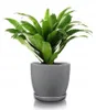 Pot de fleurs en céramique avec soucoupe, 13 cm, rond, Voir les images du produit 2