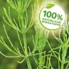 Solabiol Schachtelhalm Sud 1 Liter Produktbild-Vorschau 4