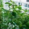Relaxdays opora pro rostliny, sada 2 ks, kovová opora pro Náhled obrázku produktu 3