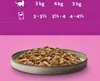 A size chart for cat food with a bowl of cat food below. Produktbild-Vorschau