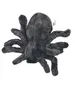 Cornelissen - Doudou - Araignée Tarantula Voir les images du produit 5