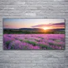 Acrylglasbilder 120x60 Wandbild Druck Sonne Wiese Blumen Produktbild-Vorschau 2