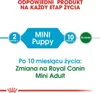 Royal Canin Puppy Mini - 800 g Produktbild-Vorschau 7