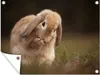 MuchoWow® Produktbild-Vorschau 1