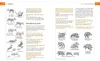 Vor und nach der Jägerprüfung - Printausgabe Produktbild-Vorschau 8