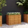 vidaXL Záhradný vyvýšený záhon 100 x 50 x 69 cm cortenová Náhľad obrázku produktu 2