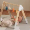 VIGA PolarB Oblouk Stojan pro Miminka Baby Gym Náhled obrázku produktu 2