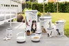Distributore di cibo Curver 1,5 kg / 2 l Gatti Anteprima dell’immagine prodotto 6