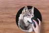 MuchoWow® Mauspad Mousepad Grauer Wildwolf 40x40 cm - Produktbild-Vorschau 3