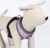 Disney Hundegeschirr S/M Villains Verstellbar & bequem für Produktbild-Vorschau 8