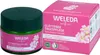 Weleda glättende Tagespflege Wildrose & weißer Tee 40 ml Produktbild-Vorschau 5