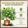 Green Home Zitruserde 72L - Erde für Zitruspflanzen & Produktbild-Vorschau 7