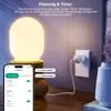 Satellite Plug für Zendure SolarFlow Balkonkraftwerk, Produktbild-Vorschau 6