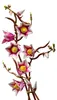 LEGO Botanicals 11510 Rametti di Magnolia Set da Anteprima dell’immagine prodotto 21