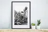 MuchoWow® Gerahmtes Poster Pflanzen - Natur - Gestaltung - Produktbild-Vorschau 4