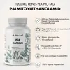 PEA Kapseln - Mikronisiertes Palmitoylethanolamid - 1200mg Produktbild-Vorschau 2