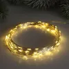 LED-Micro-Lichterkette 5m – 100 warmweisse LEDs, Produktbild-Vorschau 10