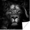 MuchoWow® Poster Tiere - Löwe - Dschungel - Schwarz - Weiß Produktbild-Vorschau 1