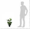 The Living Store Künstliche Hortensie mit Topf 60 cm Weiß Produktbild-Vorschau 3