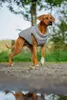 Nobby Hundemantel Light cascade-grau, Rückenlänge: 32 cm Produktbild-Vorschau 5