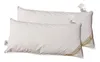 2 Stück Betten Hofmann Pusta Kopfkissen 40x80 Federkissen Produktbild-Vorschau 2