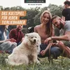 D & R Denkriesen STADT LAND VOLLPFOSTEN® - HAUSTIER EDITION Anteprima dell’immagine prodotto 4