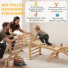 AIYAPLAY 9-in-1 Indoor Klimstructuur, met hellingbaan, Productafbeelding-voorbeeld 8