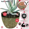 A close-up of a green and brown ceramic flower pot with an aloe vera plant inside, featuring marketing text and icons. Anteprima dell’immagine prodotto